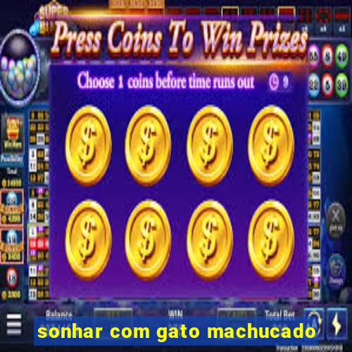 sonhar com gato machucado